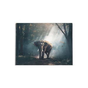 Tablou Canvas Elefant Ratacit - Img 2