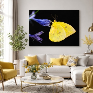 Tablou Canvas Fluture Galben