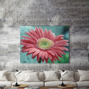 Tablou Canvas Gerbera - Img 4