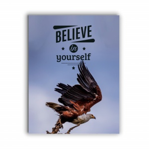 Tablou Motivational - Believe In Yourself (Eagle) - Img 3