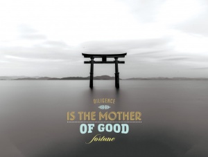 Tablou Motivational - Dilligence Is The Mother Of Fortune - Img 3