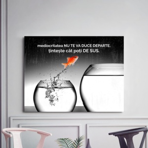 Tablou Motivational - Mediocritatea Nu Te Va Duce Departe - Img 3