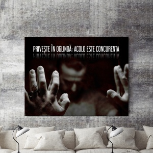 Tablou Motivational - Priveste In Oglinda - Img 6