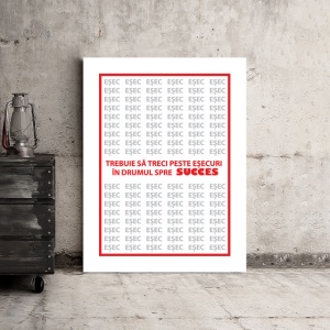 Tablou Motivational - Sa Treci Peste Esecuri - Img 3
