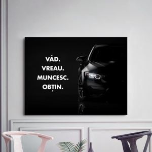 Tablou Motivational - Vad, Muncesc, Obtin - Img 3