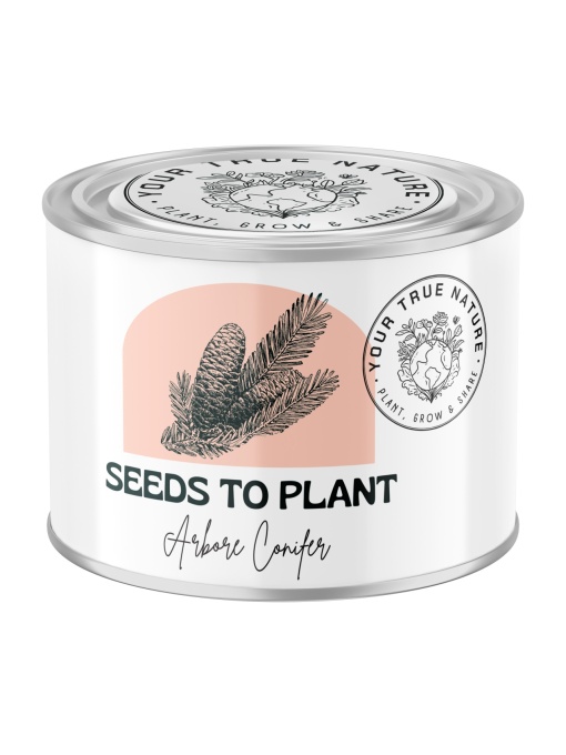 Zâmburi cu Grai | Kit de Grădinărit Urban „Seeds to Plant – Arbore conifer”