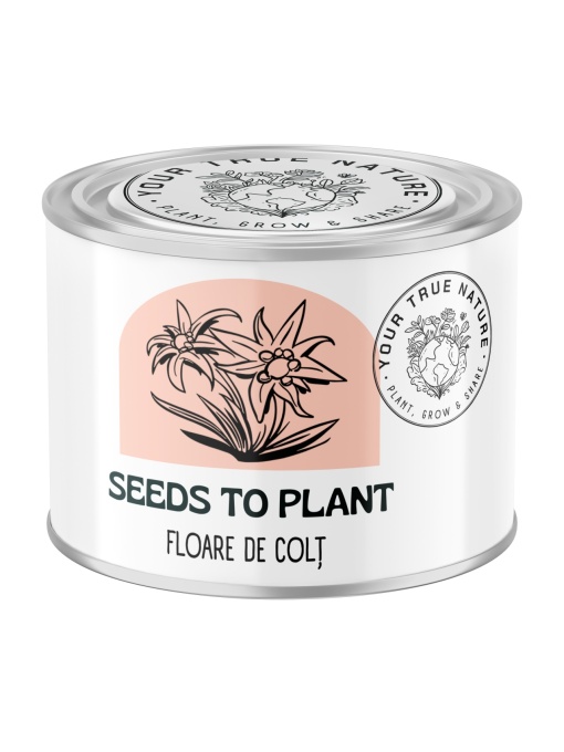 Zâmburi cu Grai | Kit de Grădinărit Urban „Seeds to Plant – Floare de colț”