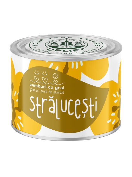 Kit de Grădinărit Urban - „Stralucesti” | Zâmburi cu Grai