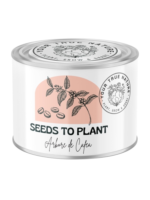 Zâmburi cu Grai | Kit de Grădinărit Urban „Seeds to Plant – Arbore de cafea”