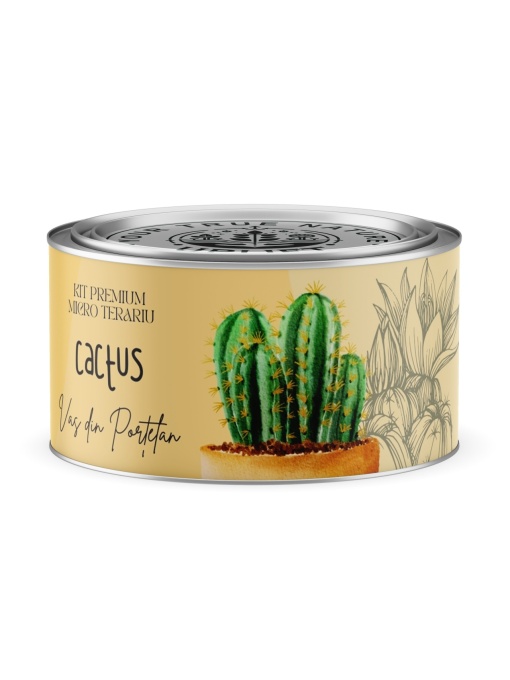 Kit Premium Micro Terariu cu semințe de Cactusi Mix | Uplift Elements
