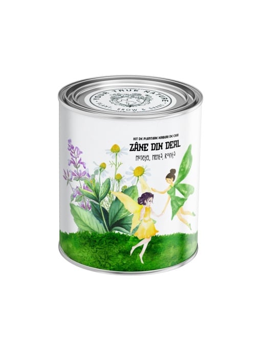 Kit de plantare – Ierburi de ceai, „Zâne din deal” – Mușețel, Mentă și Roiniță