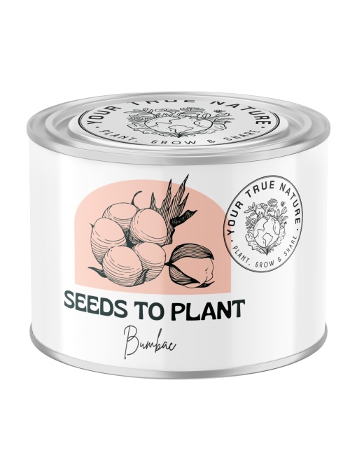 Zâmburi cu Grai | Kit de Grădinărit Urban „Seeds to Plant – Bumbac”