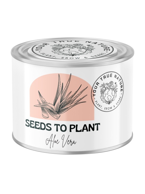 Zâmburi cu Grai | Kit de Grădinărit Urban „Seeds to Plant – Aloe Vera”