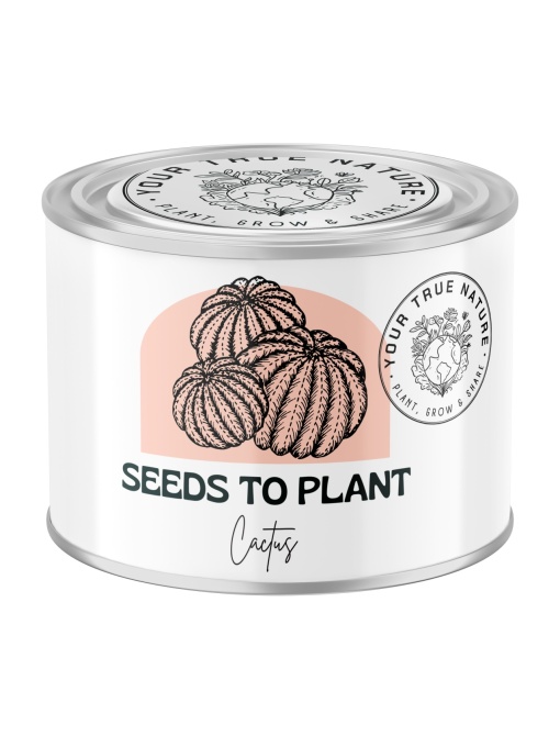 Zâmburi cu Grai | Kit de Grădinărit Urban „Seeds to Plant – Cactus”