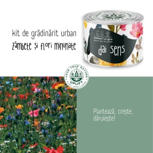 Kit de Grădinărit Urban - „Dai sens” | Zâmburi cu Grai - Img 5