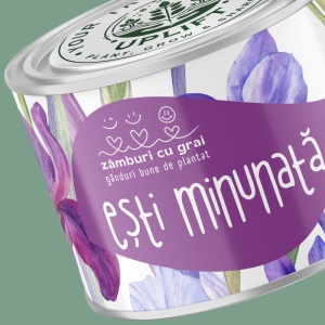 Kit de Grădinărit Urban - „Esti minunata” | Zâmburi cu Grai - Img 3