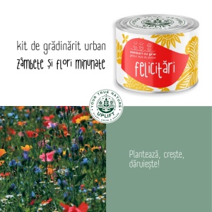 Kit de Grădinărit Urban - „Felicitari” | Zâmburi cu Grai - Img 5