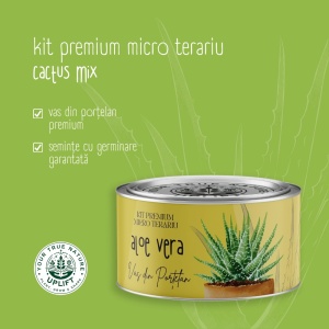 Kit Premium Micro Terariu cu semințe de Aloe Vera | Uplift Elements - Img 3