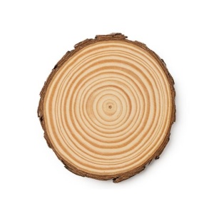 Suporturi/Coasters din lemn natural Uplift Elements, set 4 buc, Ø10 cm - Img 2