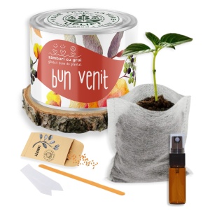 Kit de Grădinărit Urban - „Bun venit” | Zâmburi cu Grai - Img 2