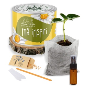 Kit de Grădinărit Urban - „Ma inspiri” | Zâmburi cu Grai - Img 2