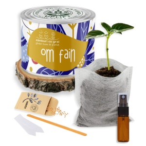 Kit de Grădinărit Urban - „Om fain” | Zâmburi cu Grai - Img 2