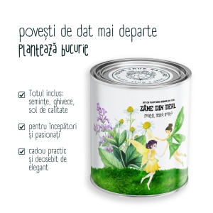 Kit de plantare – Ierburi de ceai, „Zâne din deal” – Mușețel, Mentă și Roiniță - Img 5