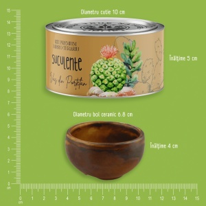 Kit Premium Micro Terariu cu semințe de Plante Suculente | Uplift Elements - Img 6