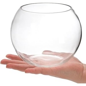 Vas de sticlă pentru terariu deschis, TerraDome, Ø15x11.5cm - Img 5