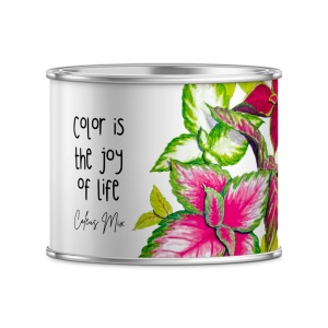 Zâmburi cu Grai | Kit de Grădinărit Urban „Color is the joy of life”, Coleus - Img 5