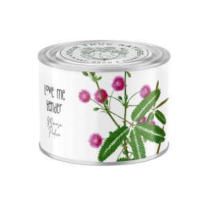 Zâmburi cu Grai | Kit de Grădinărit Urban „Love me tender”, Mimosa Pudica - Img 1