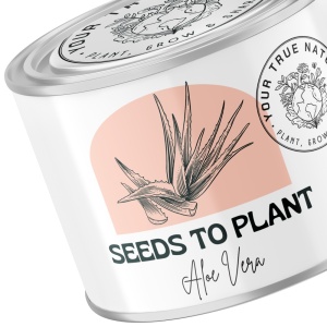 Zâmburi cu Grai | Kit de Grădinărit Urban „Seeds to Plant – Aloe Vera” - Img 3
