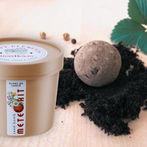 Zâmburi cu Grai | Meteorit - Kit de Plantare Personalizabil - set 10 buc. - Img 4