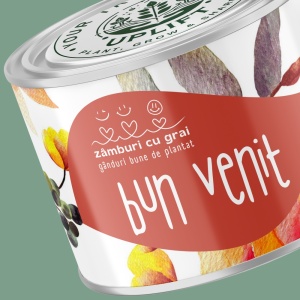 Kit de Grădinărit Urban - „Bun venit” | Zâmburi cu Grai - Img 3