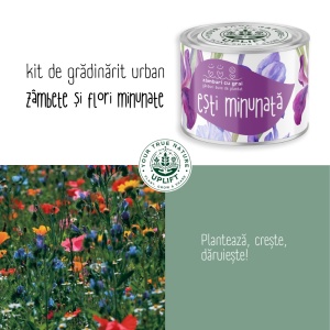 Kit de Grădinărit Urban - „Esti minunata” | Zâmburi cu Grai - Img 5