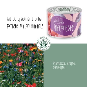 Kit de Grădinărit Urban - „Infloreste” | Zâmburi cu Grai - Img 5