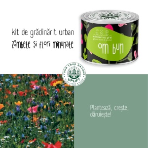Kit de Grădinărit Urban - „Om bun” | Zâmburi cu Grai - Img 5