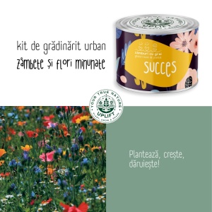 Kit de Grădinărit Urban - „Succes” | Zâmburi cu Grai - Img 5