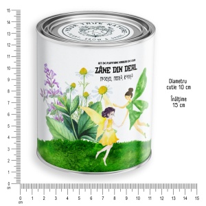 Kit de plantare – Ierburi de ceai, „Zâne din deal” – Mușețel, Mentă și Roiniță - Img 6