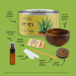Kit Premium Micro Terariu cu semințe de Aloe Vera | Uplift Elements - Img 5