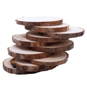 Suporturi/Coasters din lemn natural Uplift Elements, set 4 buc, Ø10 cm - Img 4