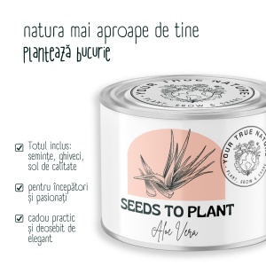 Zâmburi cu Grai | Kit de Grădinărit Urban „Seeds to Plant – Aloe Vera” - Img 4