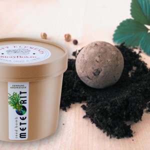 Zâmburi cu Grai | Meteorit - Kit de Plantare Personalizabil - set 10 buc. - Img 5