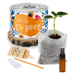 Kit de Grădinărit Urban - „Esti bucurie” | Zâmburi cu Grai - Img 2