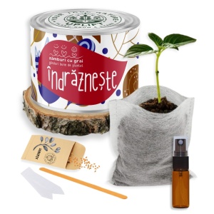 Kit de Grădinărit Urban - „Indrazneste” | Zâmburi cu Grai - Img 2