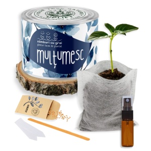 Kit de Grădinărit Urban - „Multumesc” | Zâmburi cu Grai - Img 2