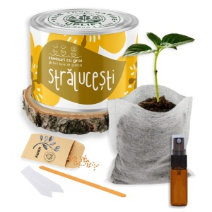 Kit de Grădinărit Urban - „Stralucesti” | Zâmburi cu Grai - Img 2