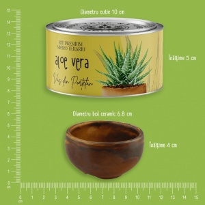 Kit Premium Micro Terariu cu semințe de Aloe Vera | Uplift Elements - Img 6