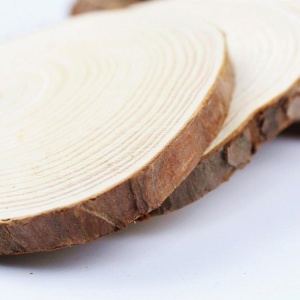 Suporturi/Coasters din lemn natural Uplift Elements, set 4 buc, Ø10 cm - Img 5