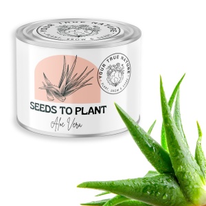 Zâmburi cu Grai | Kit de Grădinărit Urban „Seeds to Plant – Aloe Vera” - Img 5